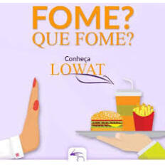 Lowat® 300mg Pote 90 Cápsulas